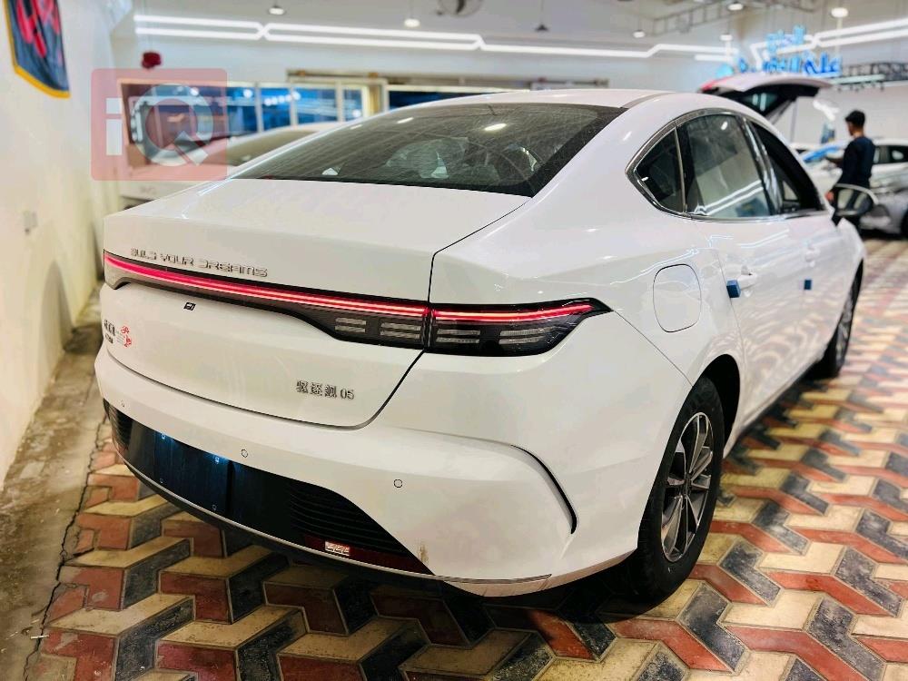 بي واي دي ديستروير 05